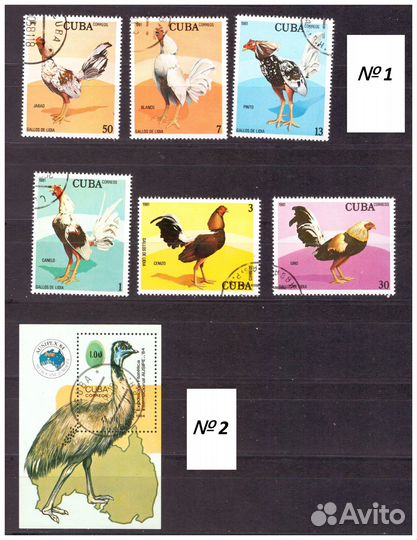 Флора и фауна. Почтовые марки разных стран