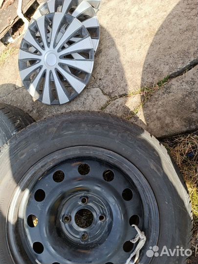 Matador Hectorra 5 195/65 R15