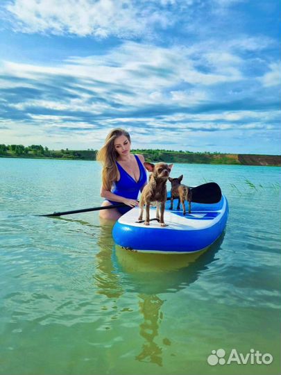 Аренда сап бордов