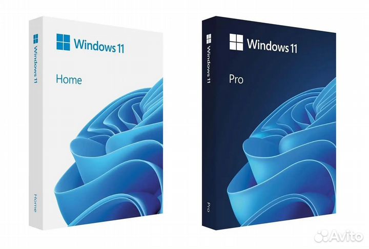 Windows 11 pro