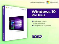 MS Windows 8.10.11 Home (ESD)