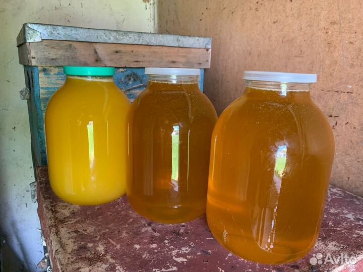 Мед цветочный разнотравье 2023