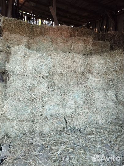 Сено в тюках