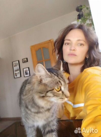 Передержка домашних животных