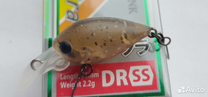 DaySprout Pico ChatteCra DR SS