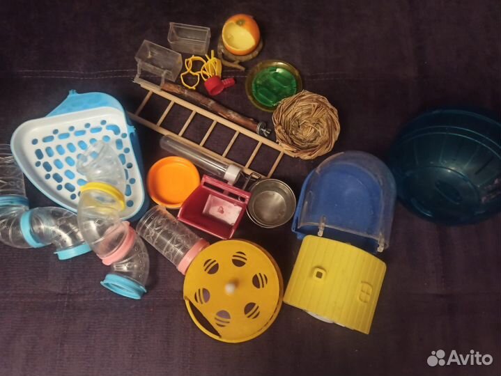 Аксессуары для животных