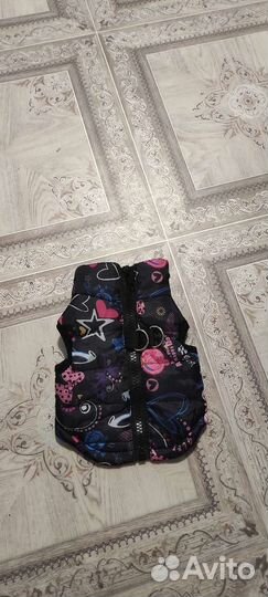 Одежда для маленьких собак, кошек