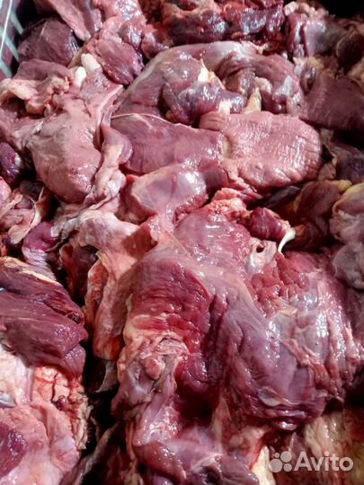 Мясо говядина для собак