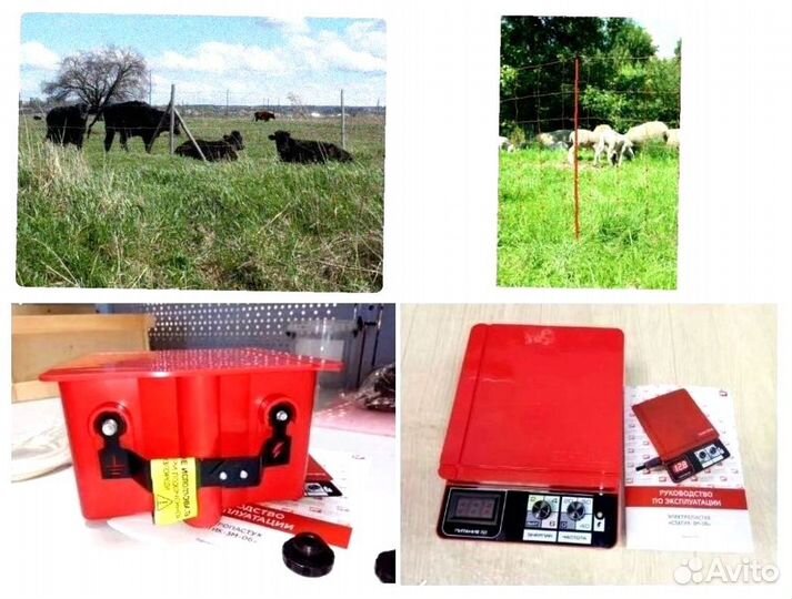 Электропастух