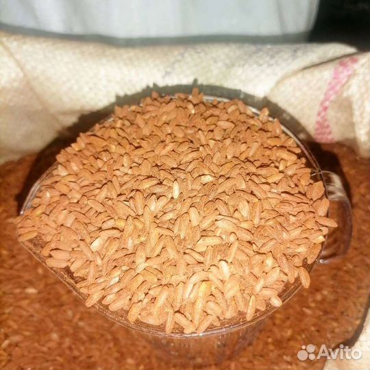 Рис Девзира, Лазер, Аланга, Хлопковое масло