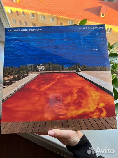 The Doors Red Hot Chili Peppers Maneskin