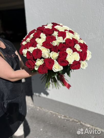 101 роза букет 101 роза, 201 роза
