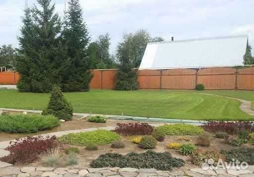 Укладка и продажа рулонного газона