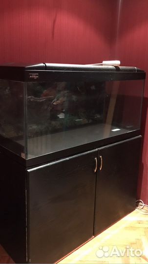 Аквариум
