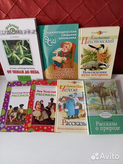 Школьная библиотека