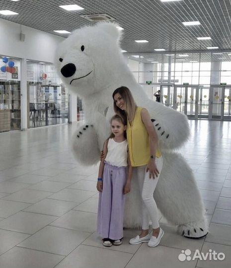 Белый мишка панда аниматор поздравление