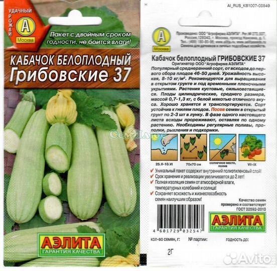 Рассада кабачков