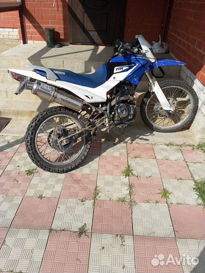 Продам ирбис ттр 250р