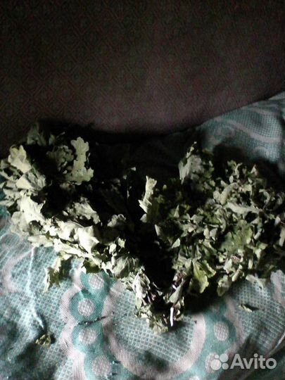 Веники для бани берёзовые/дубовые