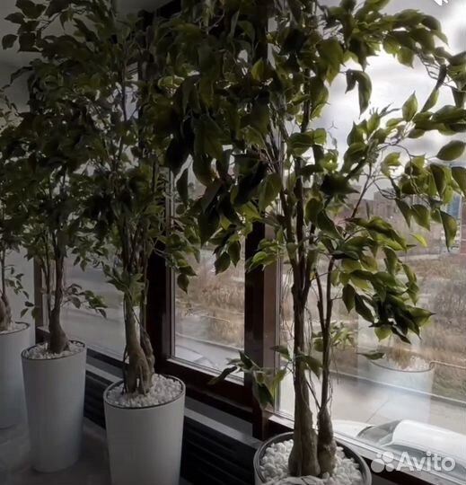 Искусственные деревья, кусты и цветы в г.Оренбурге