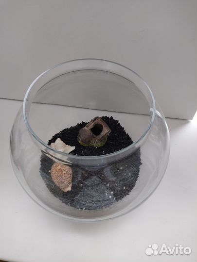 Аквариум 10 литров