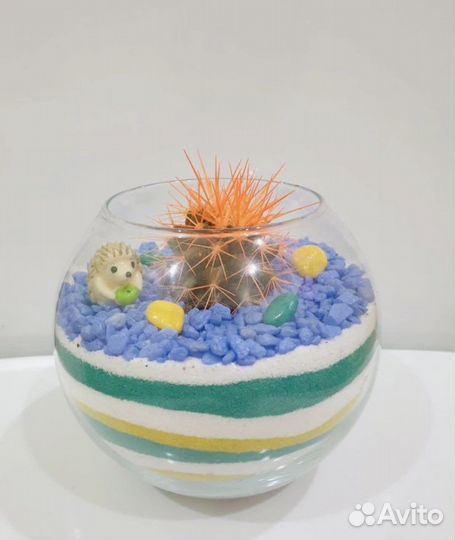 Флорариумы подарок