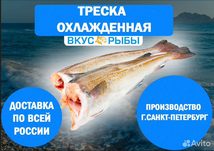 Треска охлажденная тушка без головы