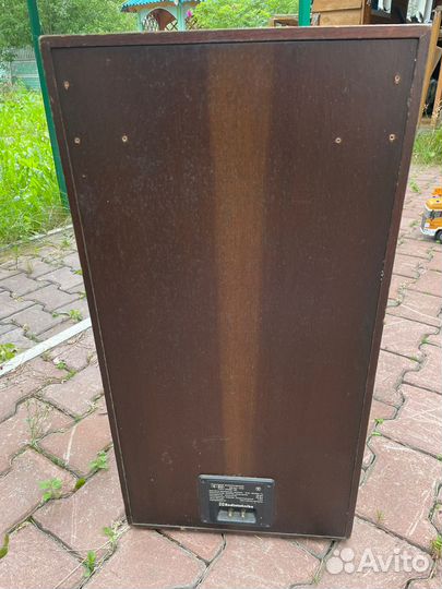 Акустические колонки Вега S- 90 Radiotehnika