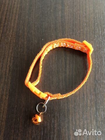 Ошейник для кошек или маленьких собак