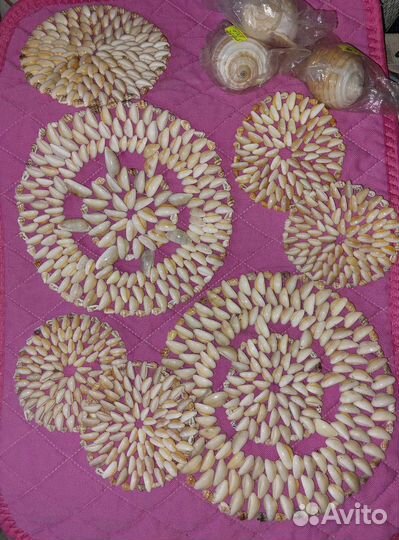 Ракушки.кораллы.рапан