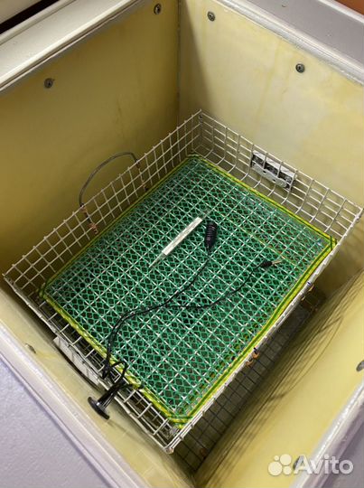 Инкубатор для яиц