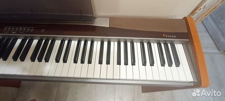 Цифровое пианино Casio Privia px 100