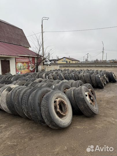 Грузовые шины и диски (Европа )