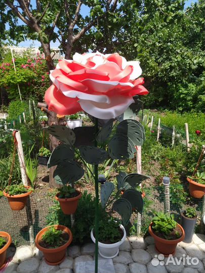 Розы из изолона