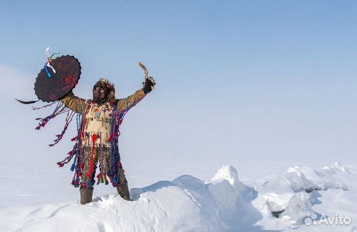 Чай пуэр « Космос шаманов » шмн11945