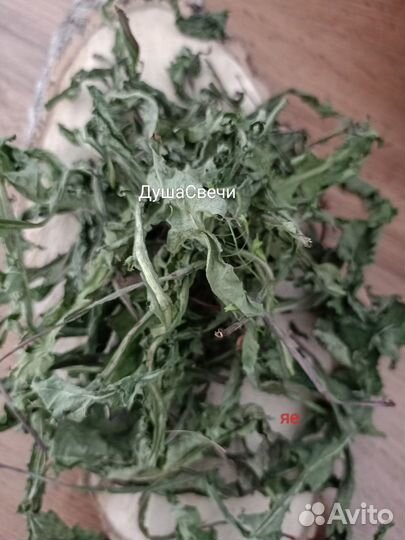 Листья одуванчиков