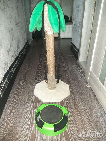 Когтеточка и игрушка для кота
