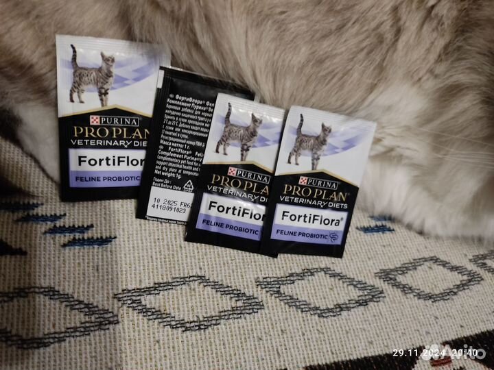 Фортифлора для кошек