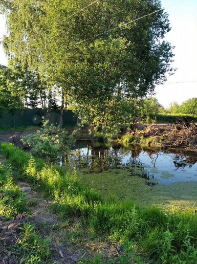 Участок 12 сот. (СНТ, ДНП)