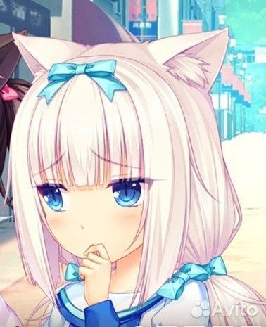 Ванилла кошачий рай. Ванилла некопара. Nekopara ванилла. Ванилла некопара. Некопара ванилла.