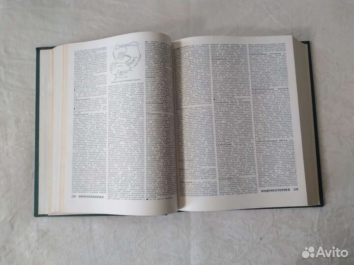 Биологический Энциклопедический Словарь