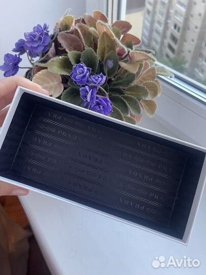 Оригинальная коробка Prada