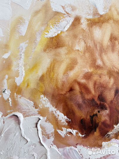 Картина маслом нежный Пион. Шикарный цветок холст