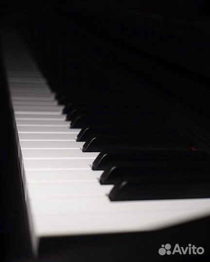 Casio Celviano AP-270BK, Цифровое пианино