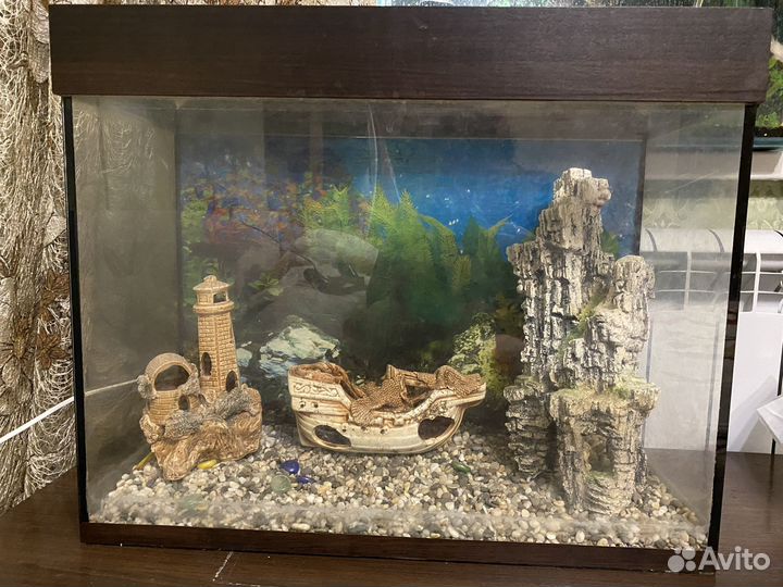 Аквариум