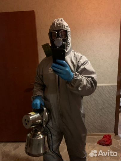 Уничтожение клопов тараканов насекомых Дезинсекция