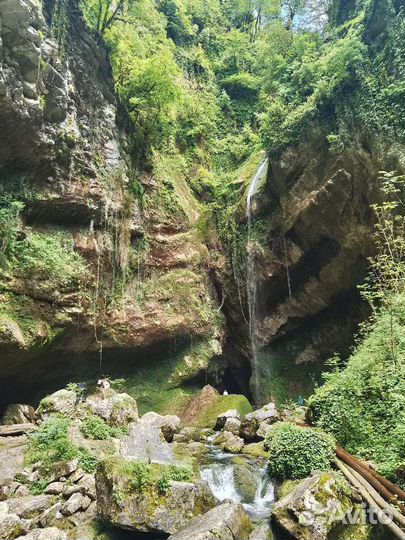 Джип тур по сказочному лесу Псахо