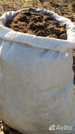 Конский навоз