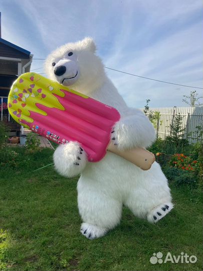 Белый мишка поздравление. Сюрприз