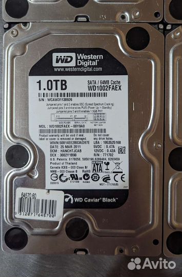 Western Digital Black 1TB